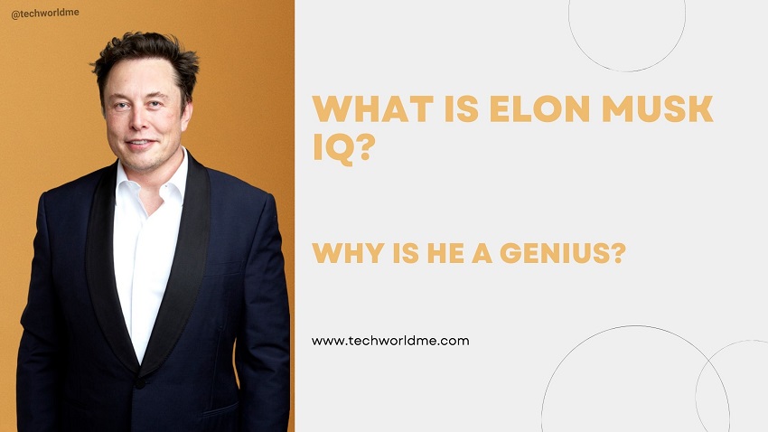  What is Elon Musk IQ? And Why is he a genius?