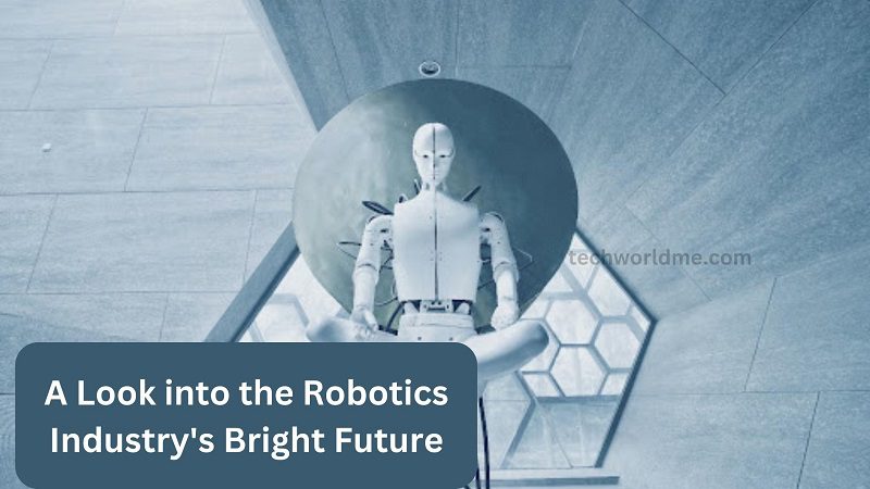  A Look into the Robotics Industry’s Bright Future